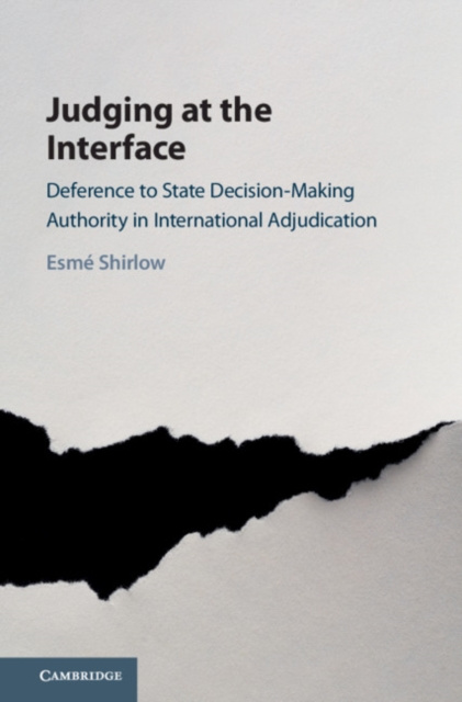 E-book Judging at the Interface Esme Shirlow