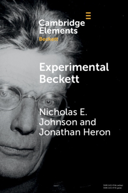 E-knjiga Experimental Beckett Nicholas E. Johnson