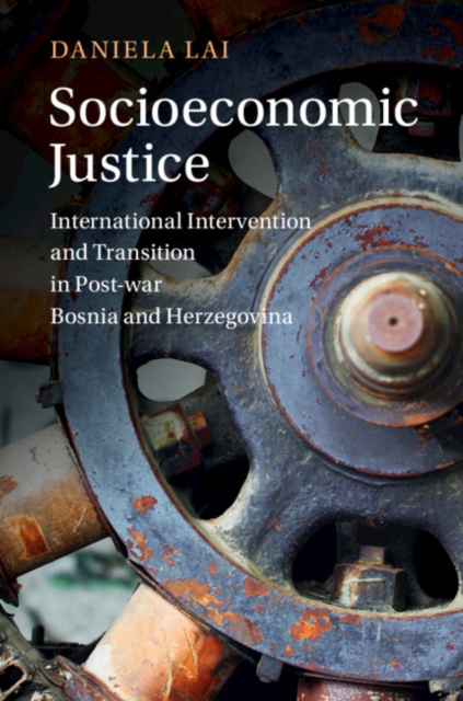 Libro elettronico Socioeconomic Justice Daniela Lai
