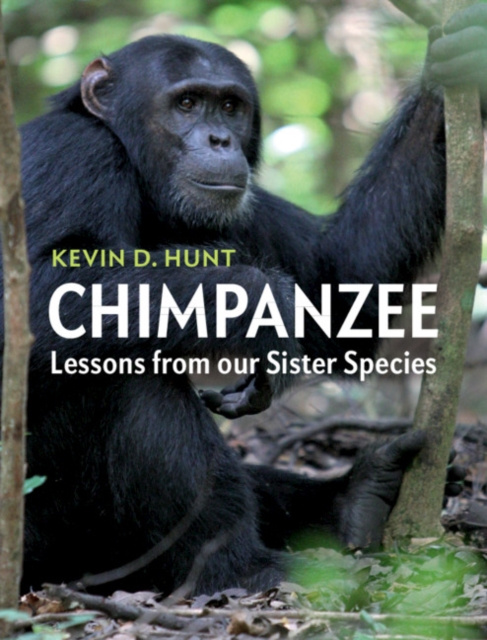 E-book Chimpanzee Kevin D. Hunt