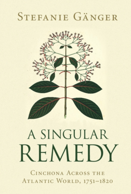 E-knjiga Singular Remedy Stefanie Ganger