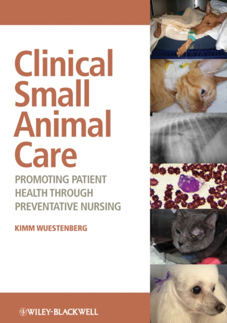 E-kniha Clinical Small Animal Care Kimm Wuestenberg