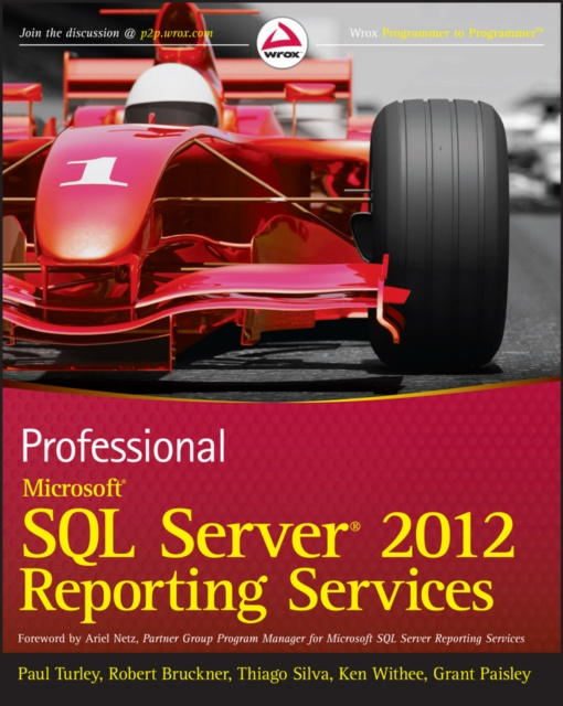 E-book Professional Microsoft SQL Server 2012 Reporting Services Paul Turley