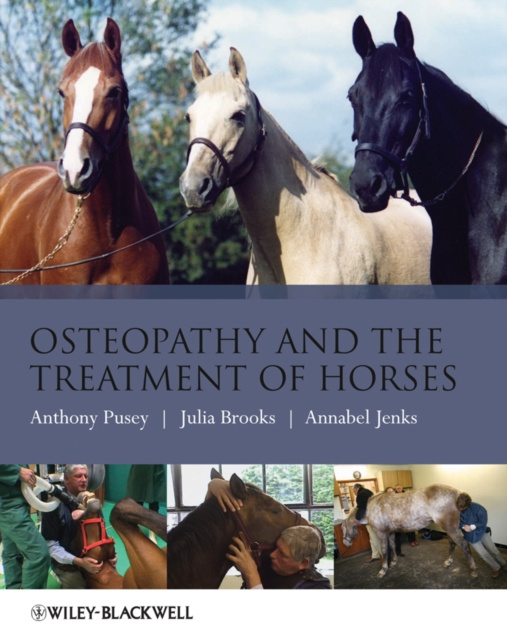 E-kniha Osteopathy and the Treatment of Horses Anthony Pusey