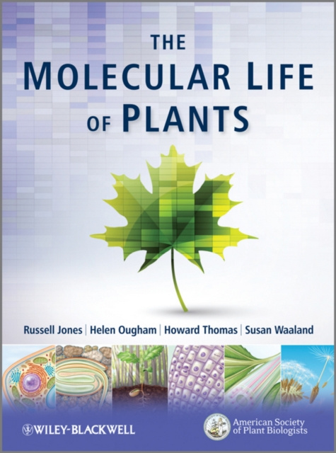 E-kniha Molecular Life of Plants Helen Ougham