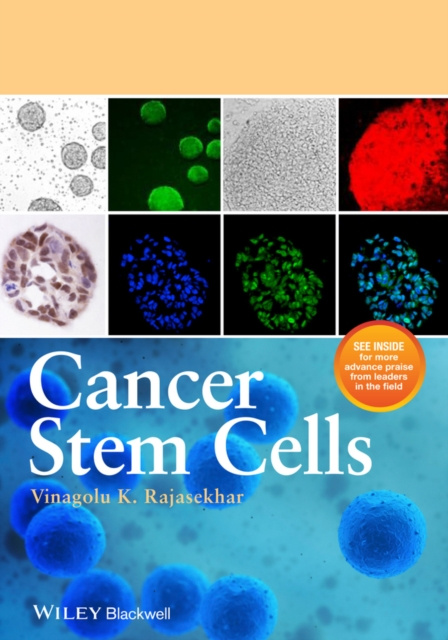 E-book Cancer Stem Cells Vinagolu K. Rajasekhar