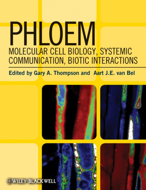 E-book Phloem Gary A. Thompson