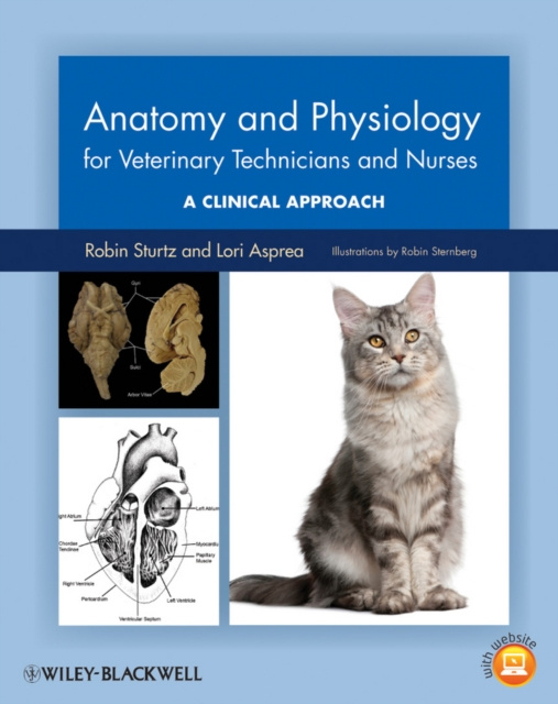 E-kniha Anatomy and Physiology for Veterinary Technicians and Nurses Robin Sturtz