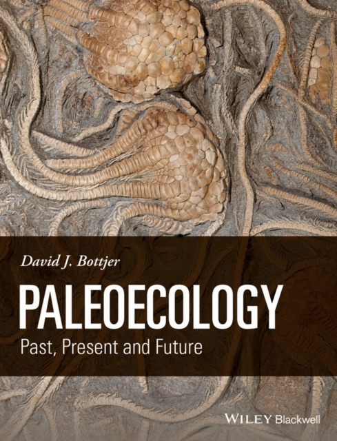 E-book Paleoecology David J. Bottjer