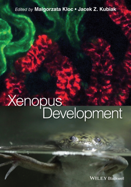 ebook Xenopus Development Malgorzata Kloc