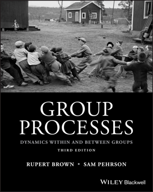E-book Group Processes Rupert Brown
