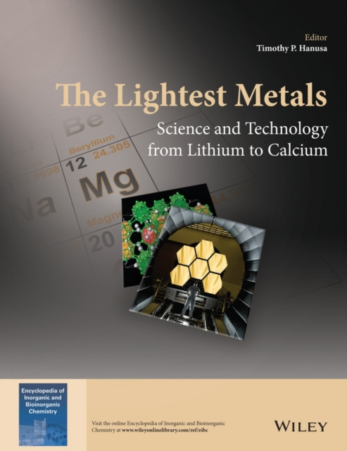 E-knjiga Lightest Metals Timothy P. Hanusa