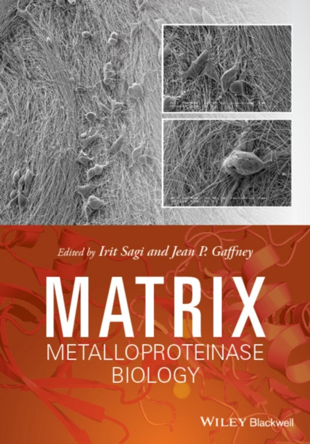 E-knjiga Matrix Metalloproteinase Biology Irit Sagi