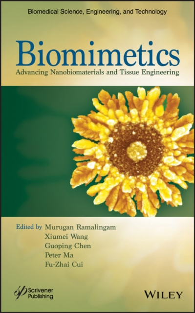 E-book Biomimetics Xiumei Wang