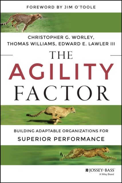 ebook Agility Factor Thomas D. Williams