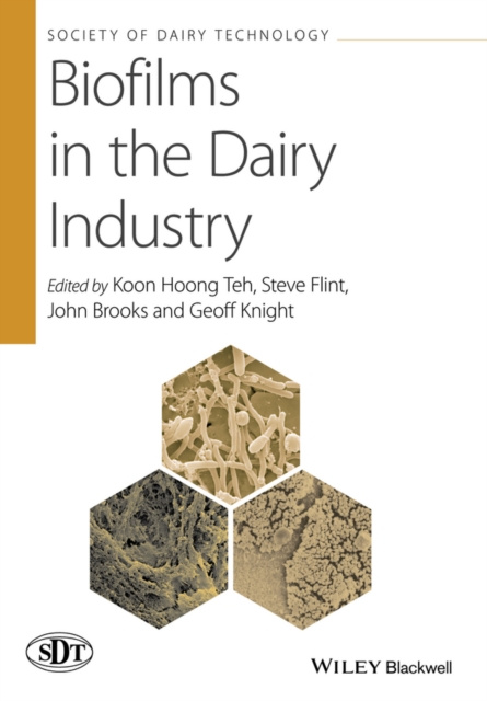 E-kniha Biofilms in the Dairy Industry Koon Hoong Teh