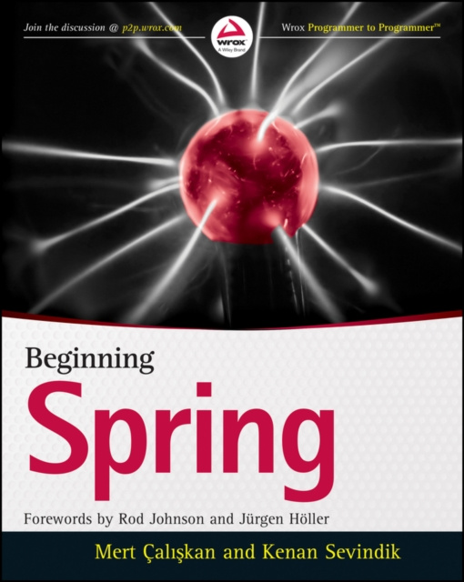 E-book Beginning Spring Mert Caliskan