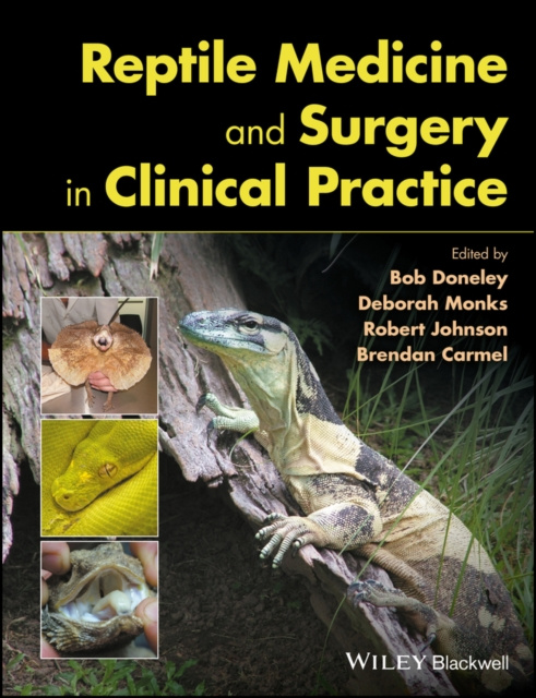 E-kniha Reptile Medicine and Surgery in Clinical Practice Bob Doneley