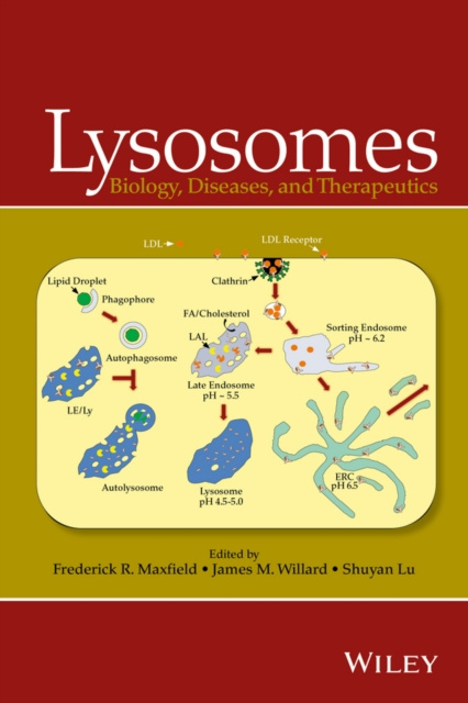 E-knjiga Lysosomes Frederick R. Maxfield