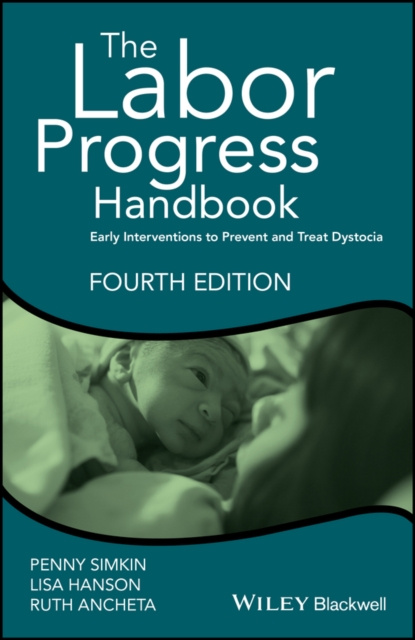 E-kniha Labor Progress Handbook Penny Simkin