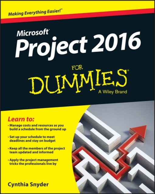 E-knjiga Project 2016 For Dummies Cynthia Snyder Dionisio