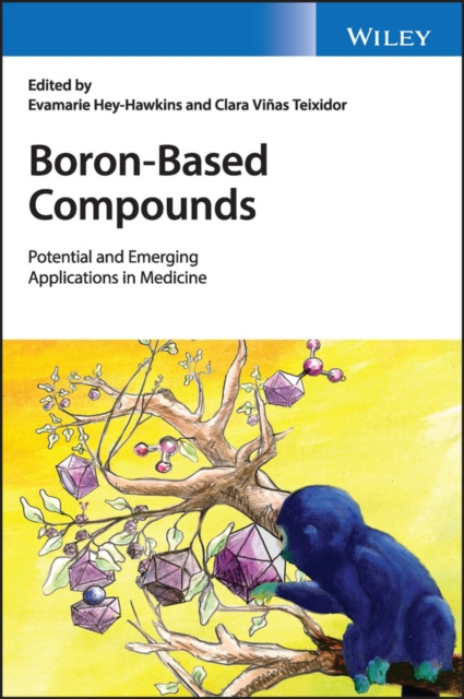 E-Book Boron-Based Compounds Evamarie Hey-Hawkins
