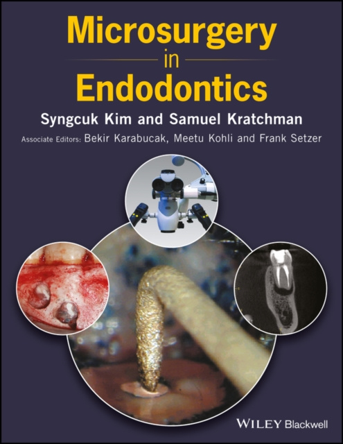 E-knjiga Microsurgery in Endodontics Samuel Kratchman