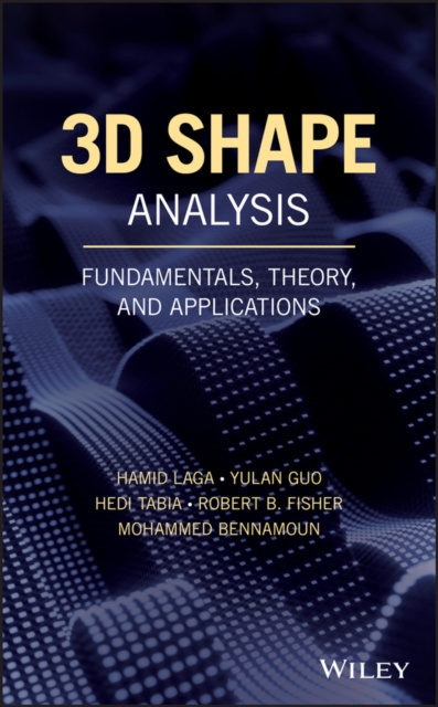 E-book 3D Shape Analysis Hamid Laga
