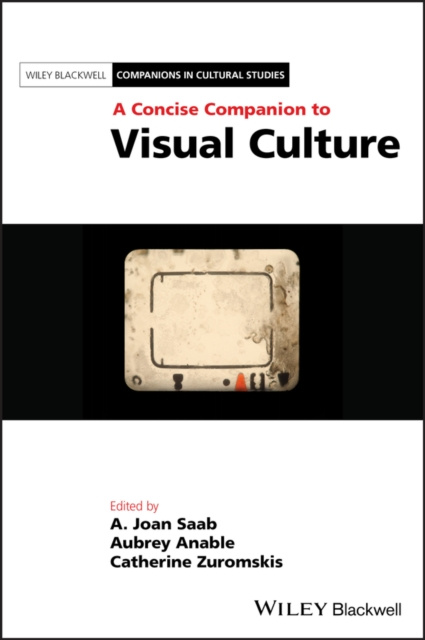 E-book Concise Companion to Visual Culture A. Joan Saab