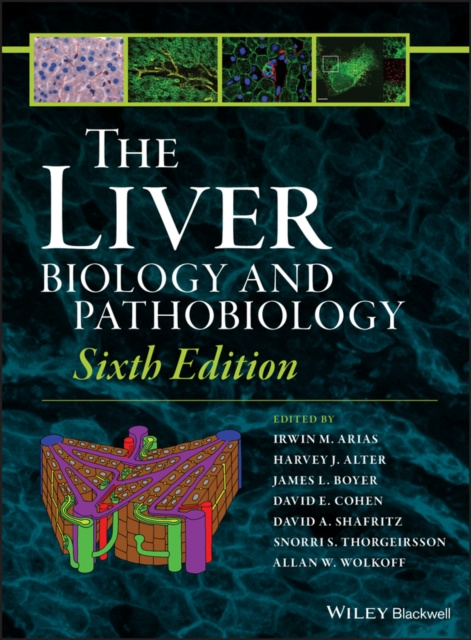 E-Book Liver Irwin M. Arias