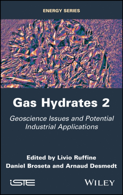 E-knjiga Gas Hydrates 2 Livio Ruffine