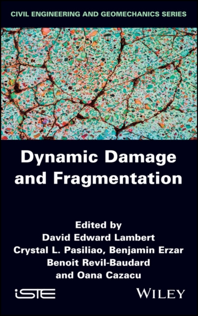 E-knjiga Dynamic Damage and Fragmentation David Edward Lambert