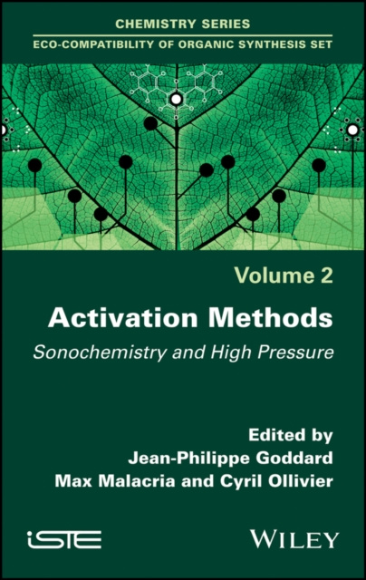 E-book Activation Methods Jean-Philippe Goddard