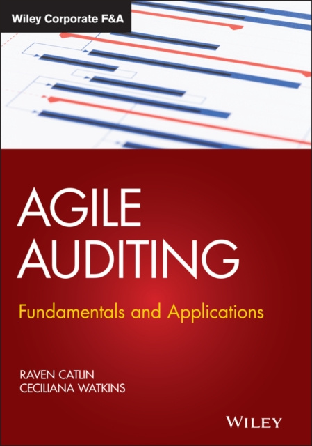 E-book Agile Auditing Raven Catlin