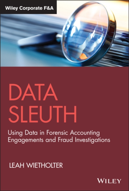 E-book Data Sleuth Leah Wietholter