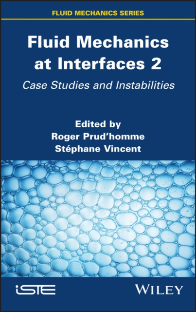 E-book Fluid Mechanics at Interfaces 2 Roger Prudhomme