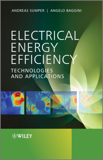 E-Book Electrical Energy Efficiency Angelo Baggini