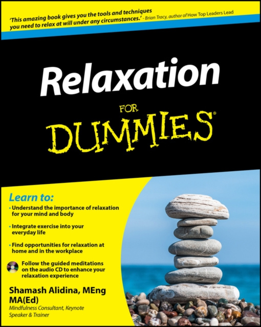 E-Book Relaxation For Dummies Shamash Alidina