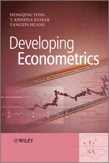 E-knjiga Developing Econometrics Hengqing Tong
