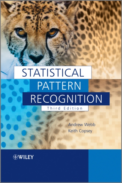 E-knjiga Statistical Pattern Recognition Andrew R. Webb