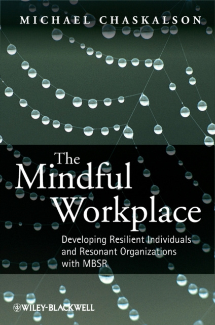 E-Book Mindful Workplace Michael Chaskalson