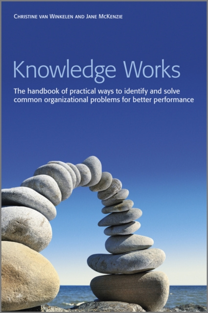 E-knjiga Knowledge Works Christine van Winkelen