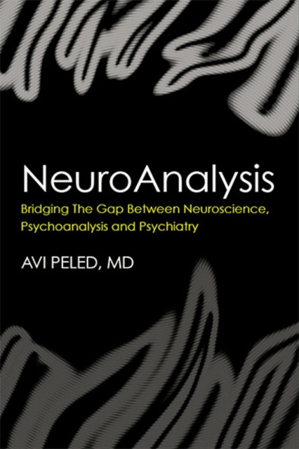 E-book NeuroAnalysis Avi Peled