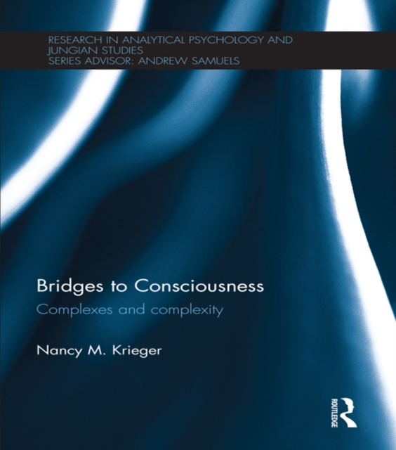 E-kniha Bridges to Consciousness Nancy M. Krieger