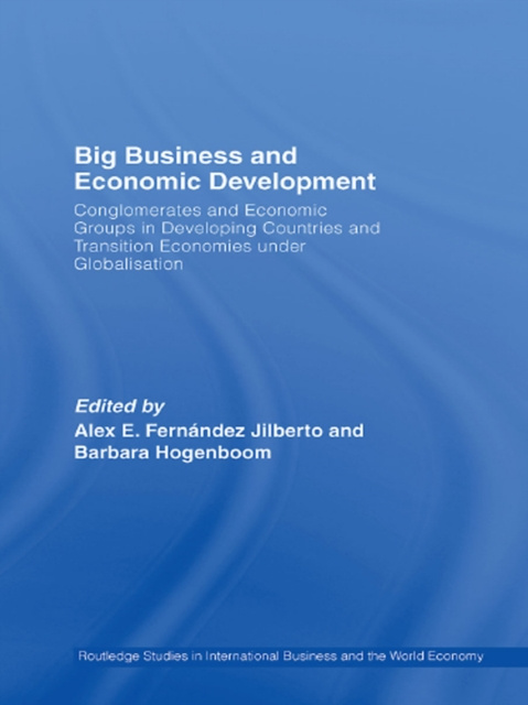 E-knjiga Big Business and Economic Development Barbara Hogenboom