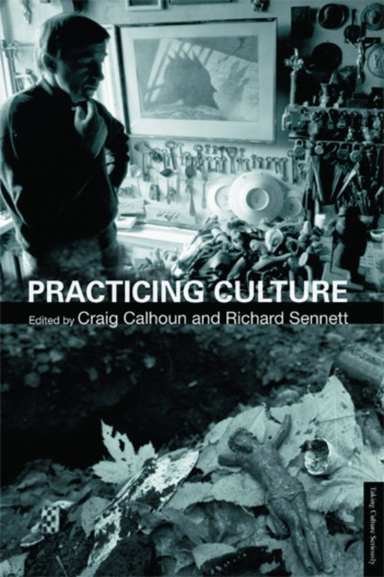 E-kniha Practicing Culture Craig Calhoun