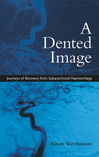 E-book Dented Image Alison Wertheimer