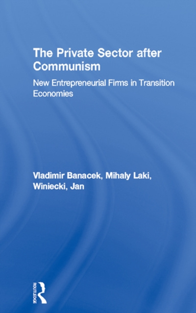 E-book Private Sector after Communism Vladimir Banacek