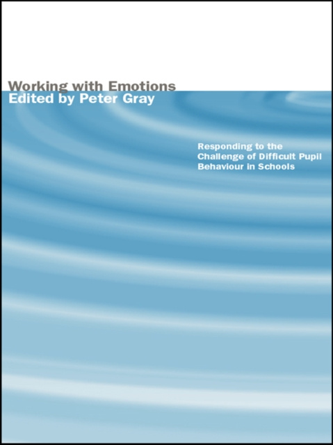 E-Book Working with Emotions Peter Gray