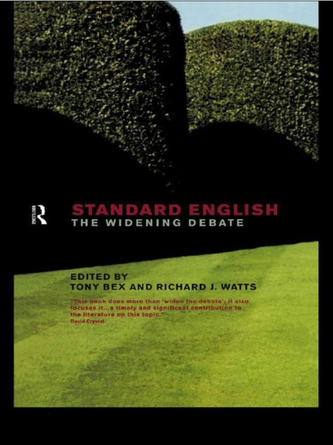 E-book Standard English Tony Bex